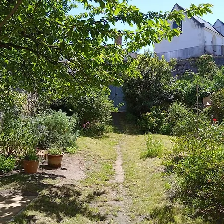 아파트 Le Petit Passage, Jardin Et Loire A Velo 앙세니스